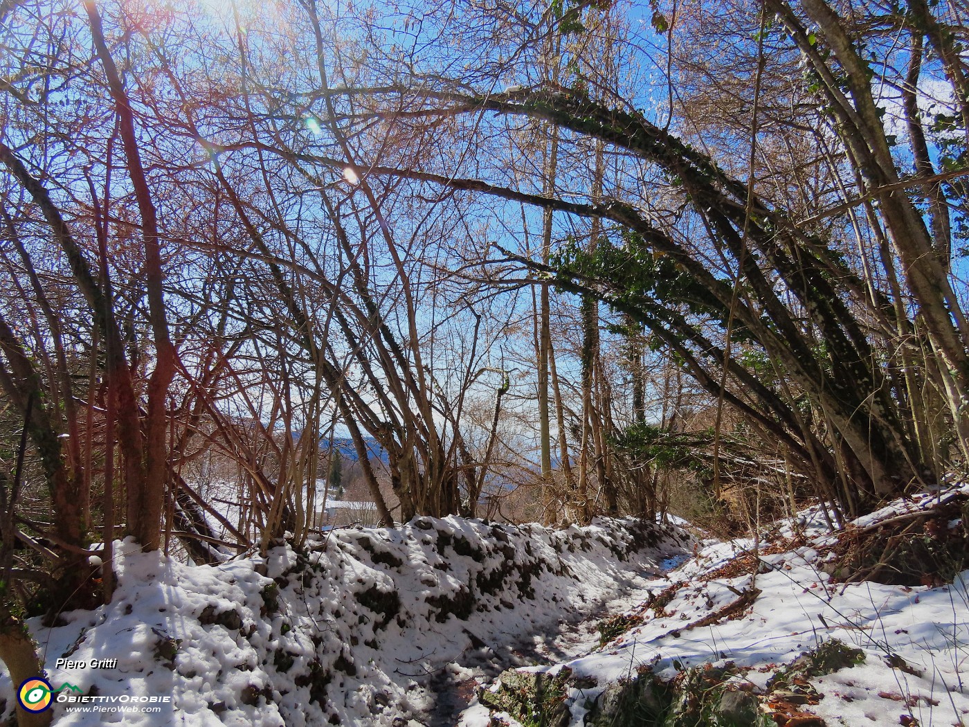 66 Scendendo sulla variante alta del sent. 505.JPG